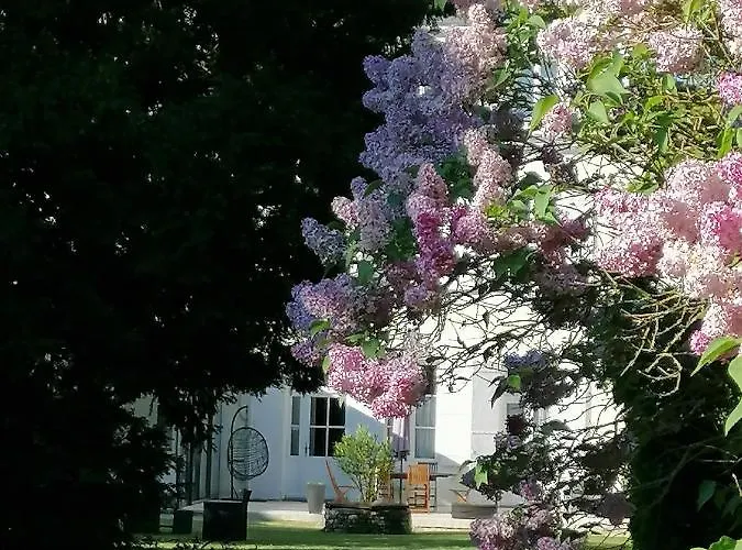 H De Bed & Breakfast Surgères